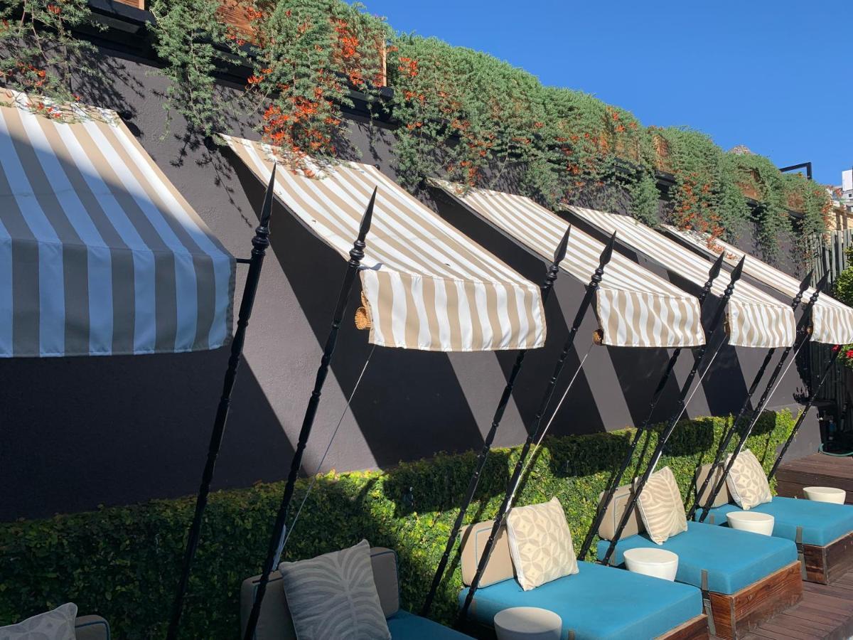 Mountview Guest House Cape Town Ngoại thất bức ảnh